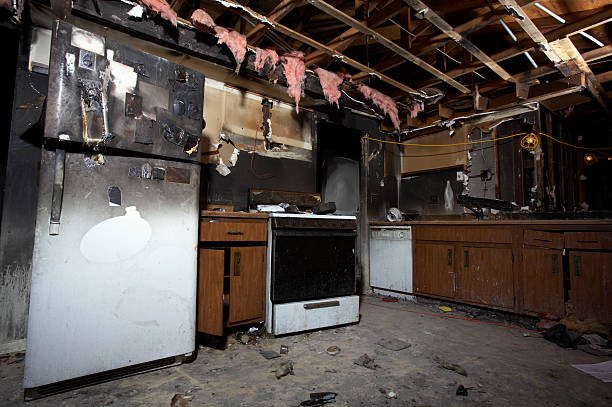 Affordable Fire Damage Removal solutions in Barnesville, MN